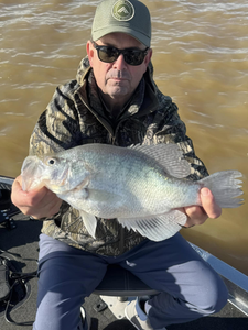 The crappie bite is on!
